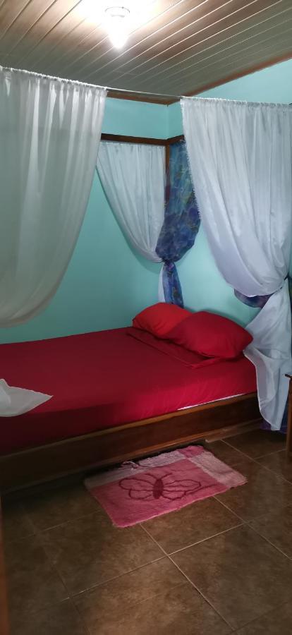 Cabinas Mitchaelle'S Puerto Viejo de Talamanca Bagian luar foto