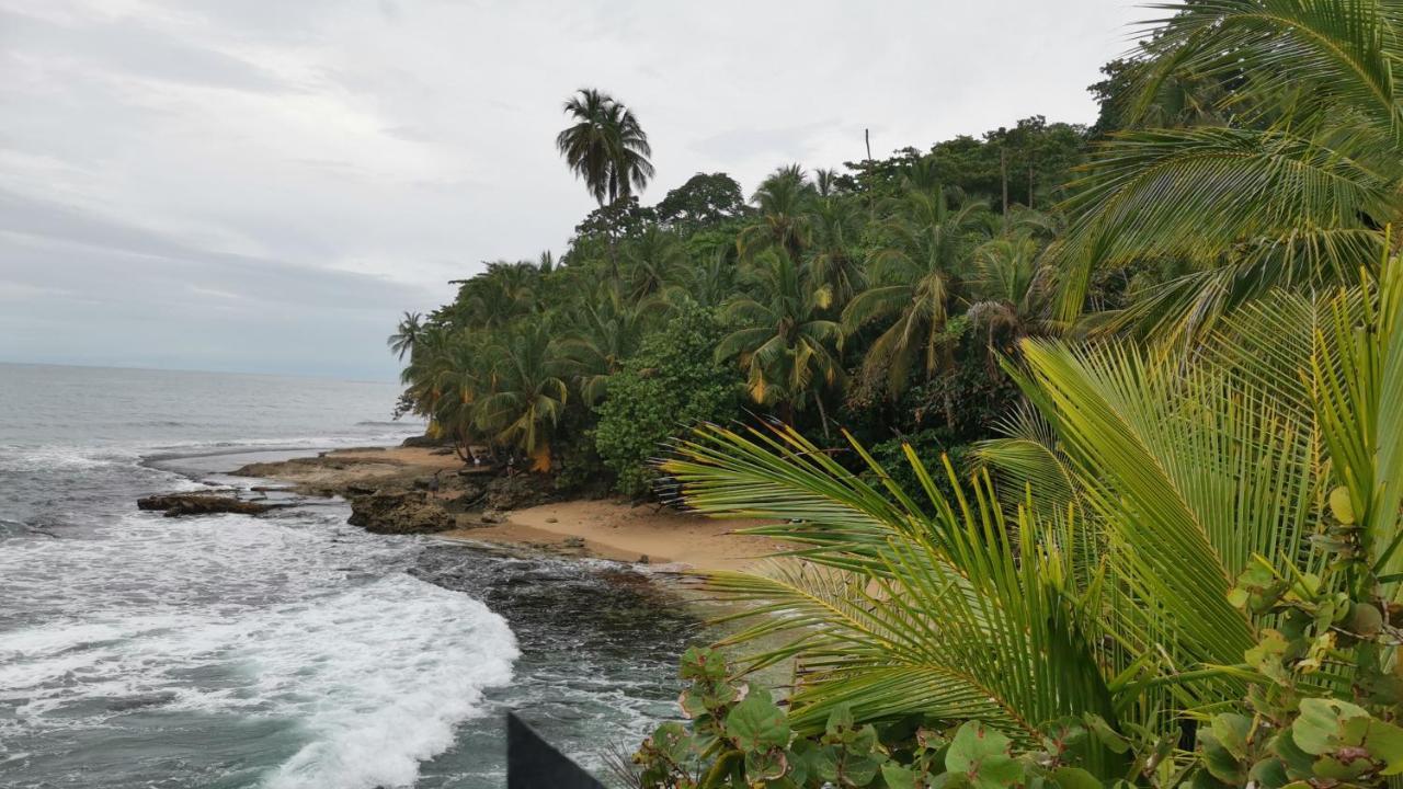 Cabinas Mitchaelle'S Puerto Viejo de Talamanca Bagian luar foto