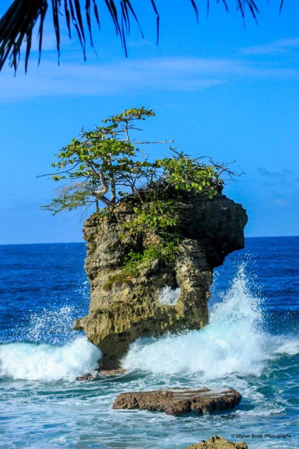 Cabinas Mitchaelle'S Puerto Viejo de Talamanca Bagian luar foto