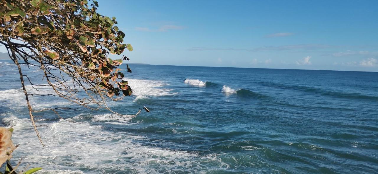Cabinas Mitchaelle'S Puerto Viejo de Talamanca Bagian luar foto